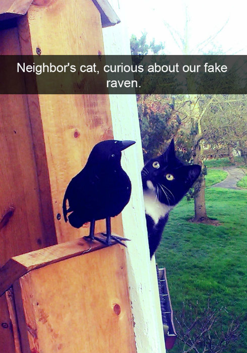 Image credit: Snapchat