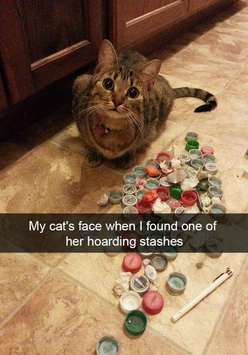 Image credit: Snapchat