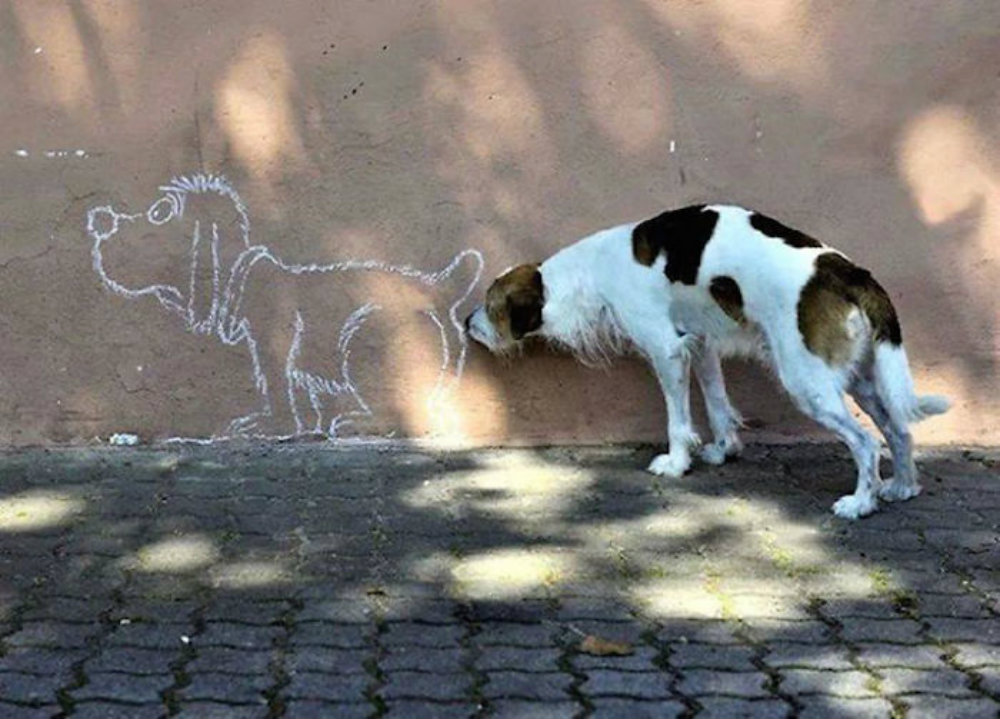 Image credit: www.ebaumsworld.com