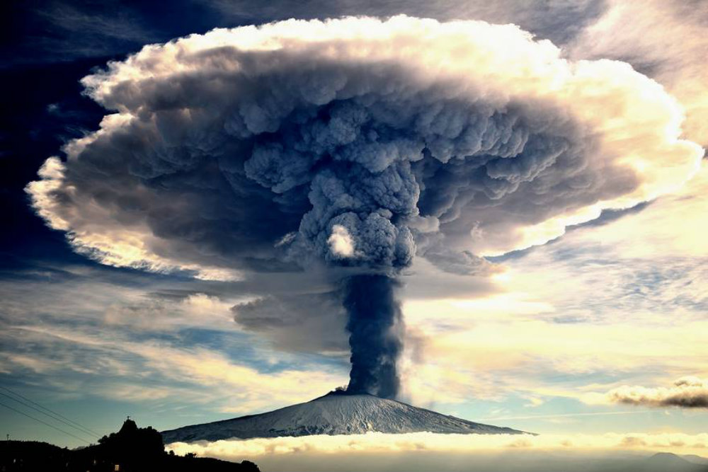 Image credit: www.boredpanda.com