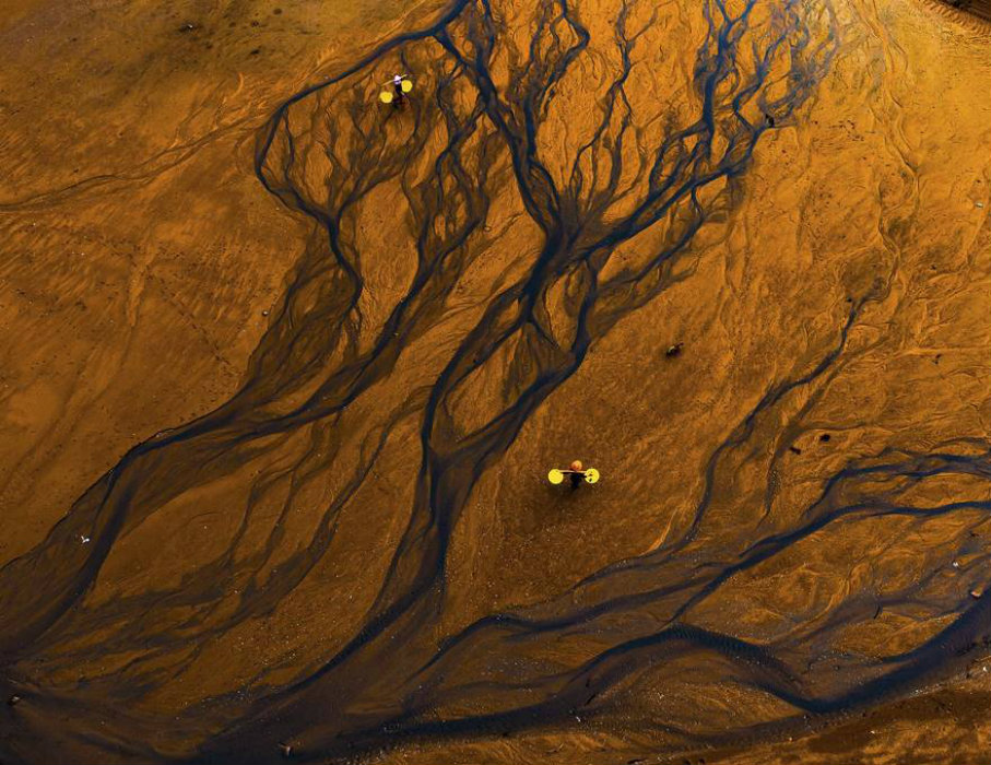 Image credit: www.boredpanda.com
