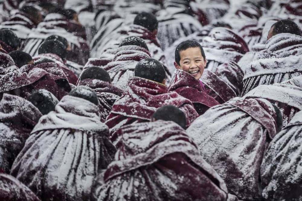 Image credit: www.boredpanda.com
