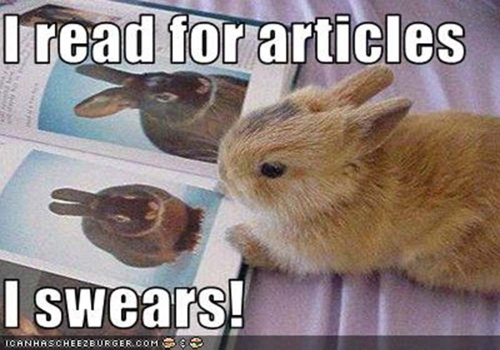 Image Credit: rabbitramblings.com