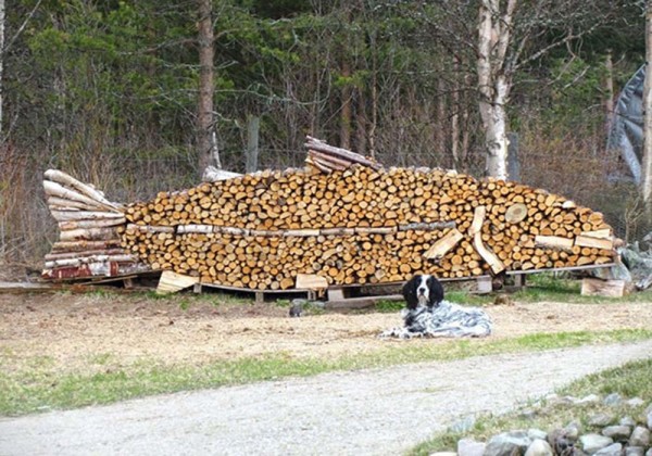 Image Credit: boredpanda.com