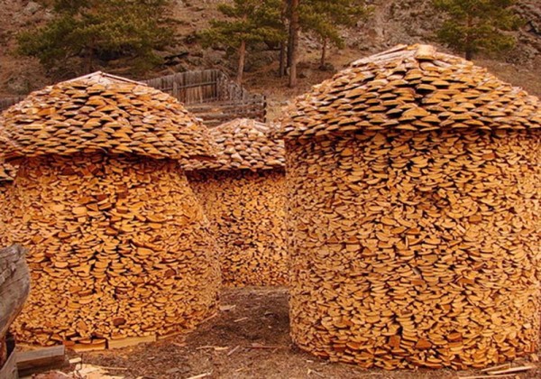 Image Credit: boredpanda.com