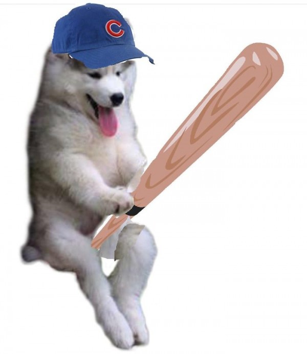 cubs