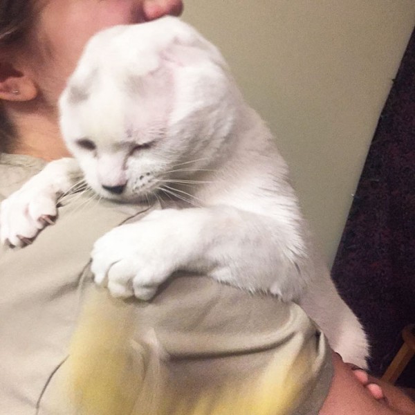 Image Credit: lovemeow
