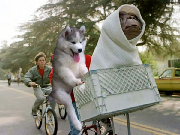 et