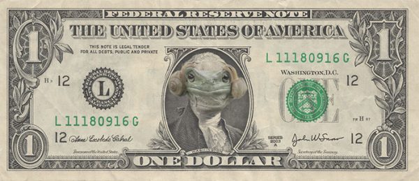 frog