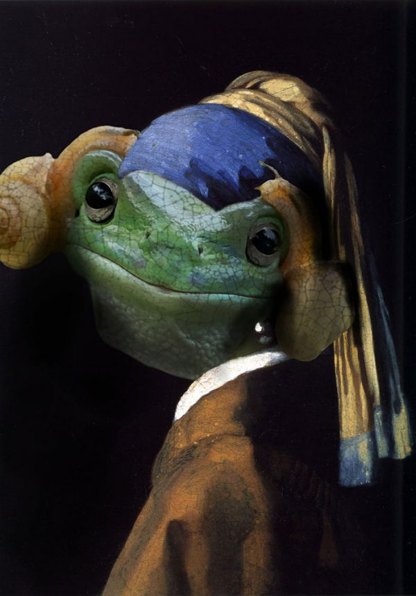 frog
