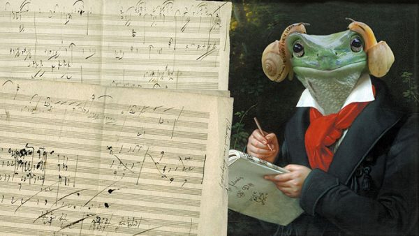 frog