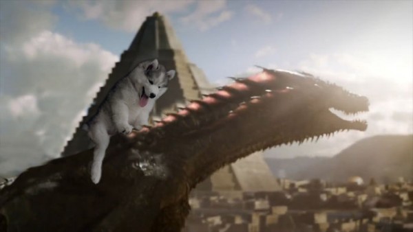 got
