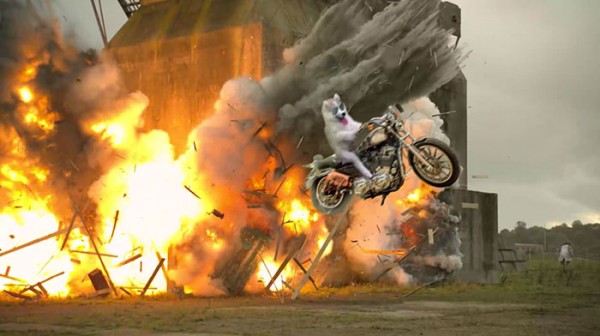 escape