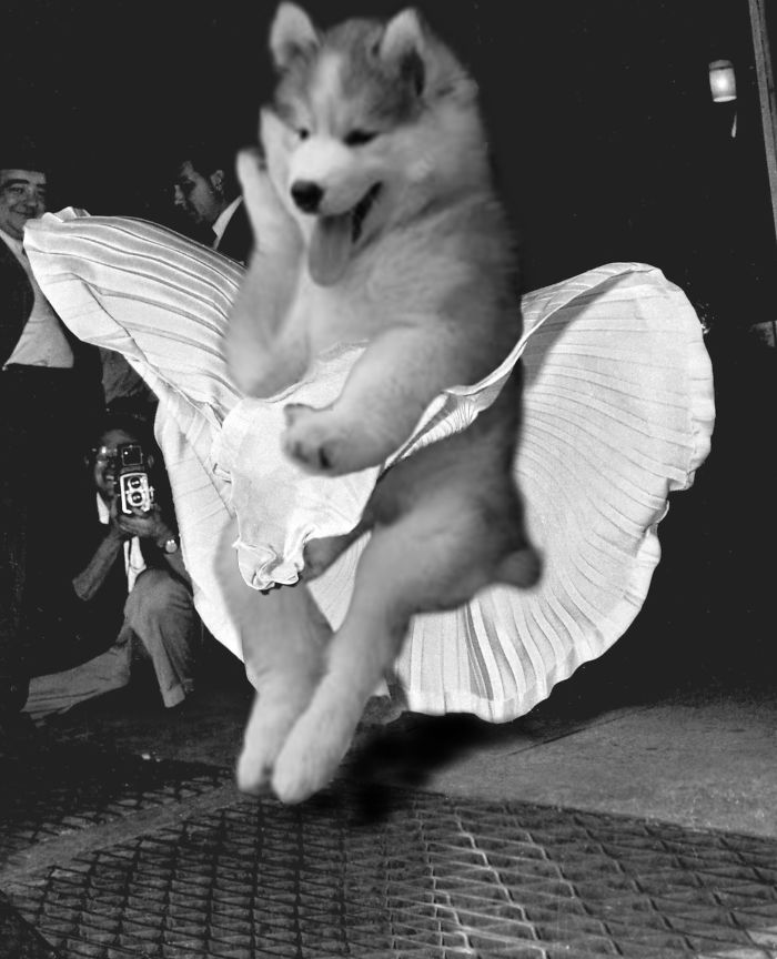 marilyn