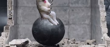 miley