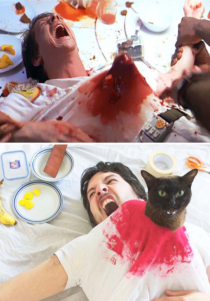 Image Credit: movie cats