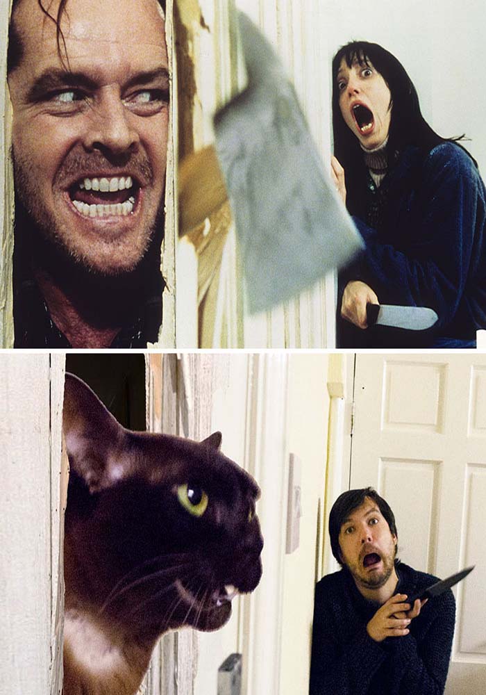 Image Credit: movie cats