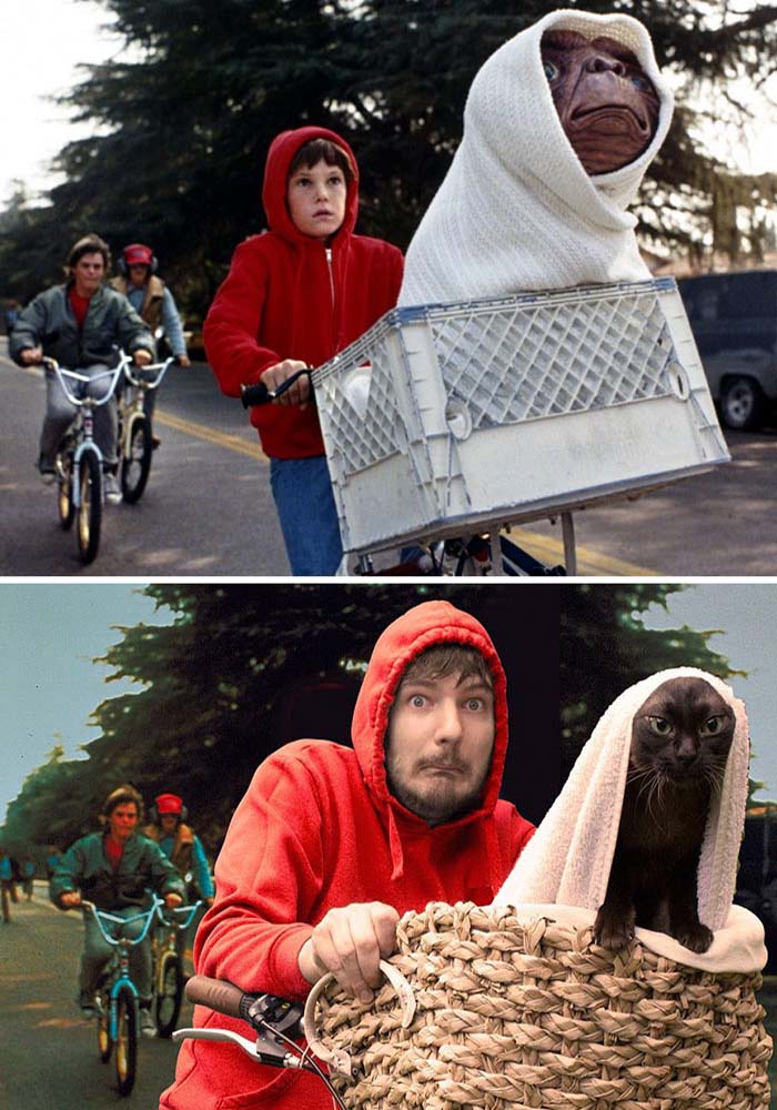 Image Credit: movie cats