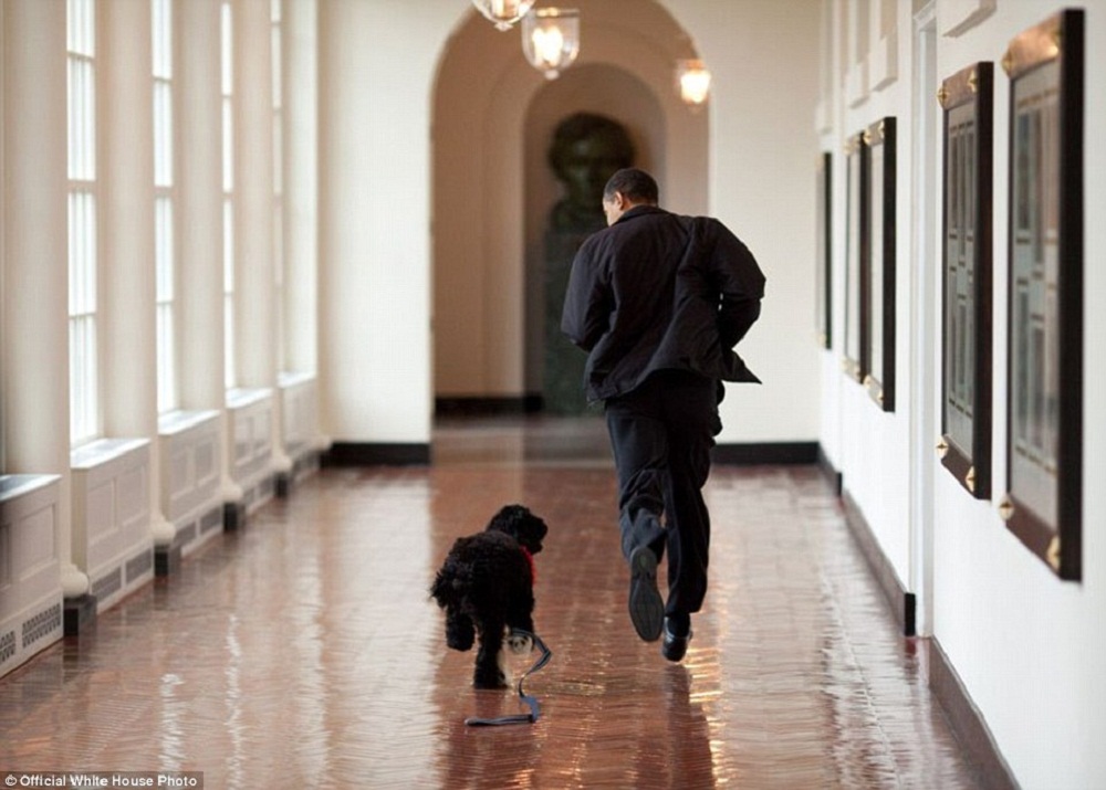 Image Credit: Pete Souza