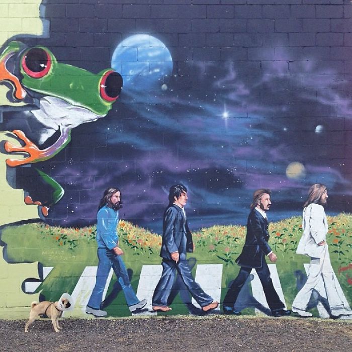 pug-norm-adventures-jeremy-veach-54-5821a23d4f422__700