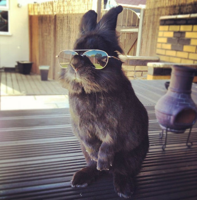 Image credit: www.boredpanda.com