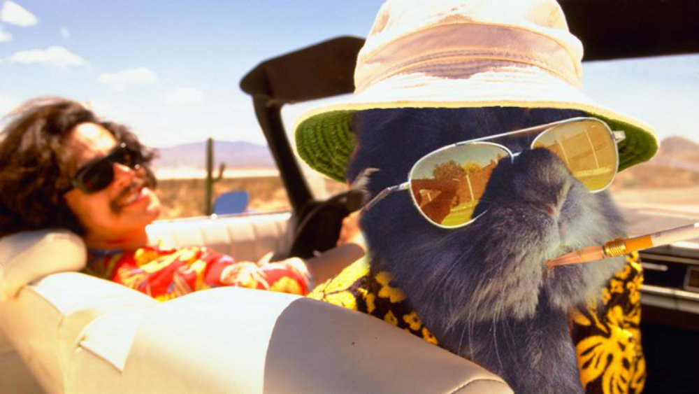 Image credit: www.boredpanda.com