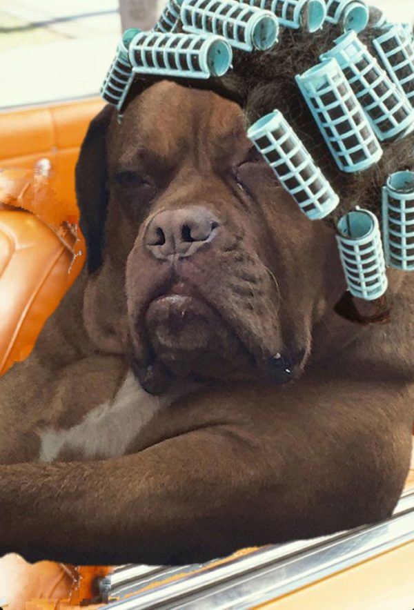 roxy