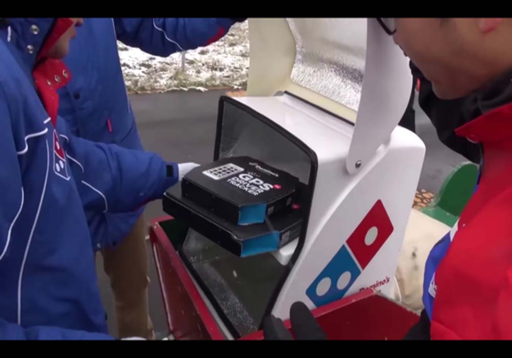 Image Credit: Domino's Japan