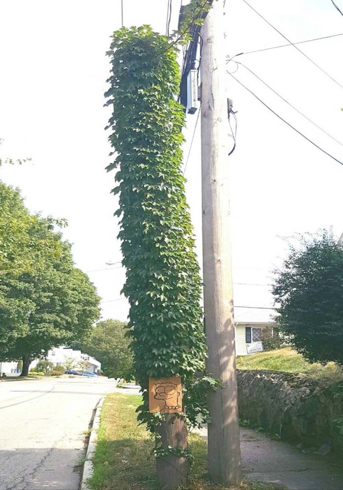 Image Credit: i.reddituploads.com / Via reddit.com