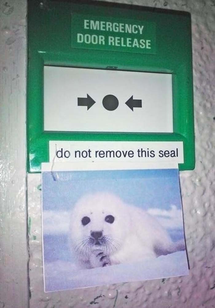 Image Credit: i.imgur.com / Via reddit.com