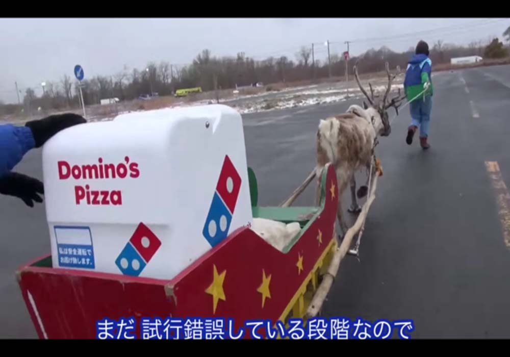 Image Credit: Domino's Japan