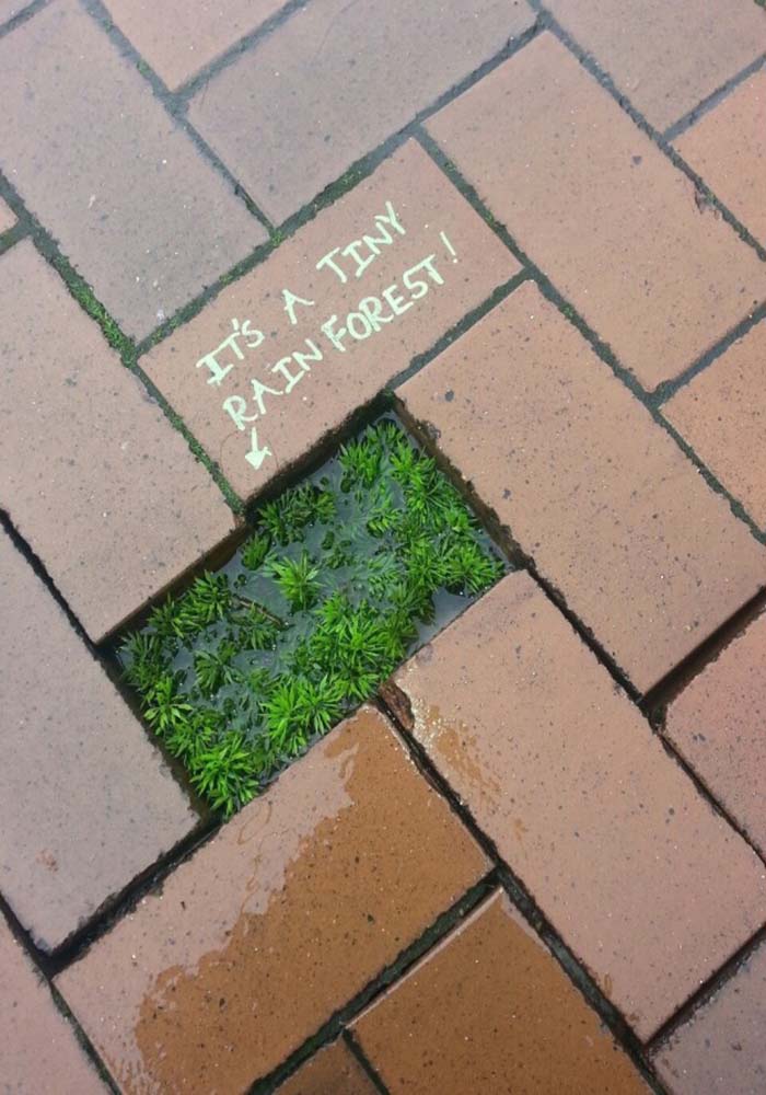 Image Credit: i.imgur.com / Via reddit.com