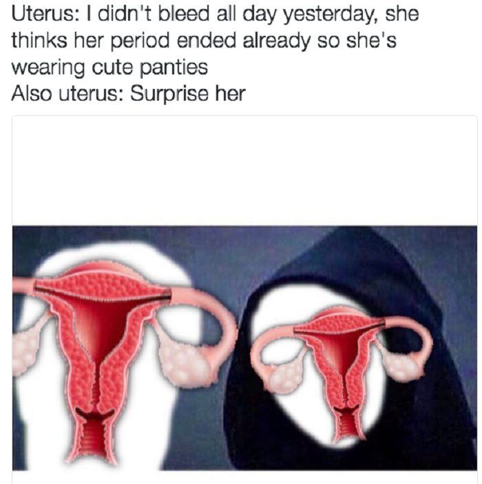 Image Credit: Know Your Meme