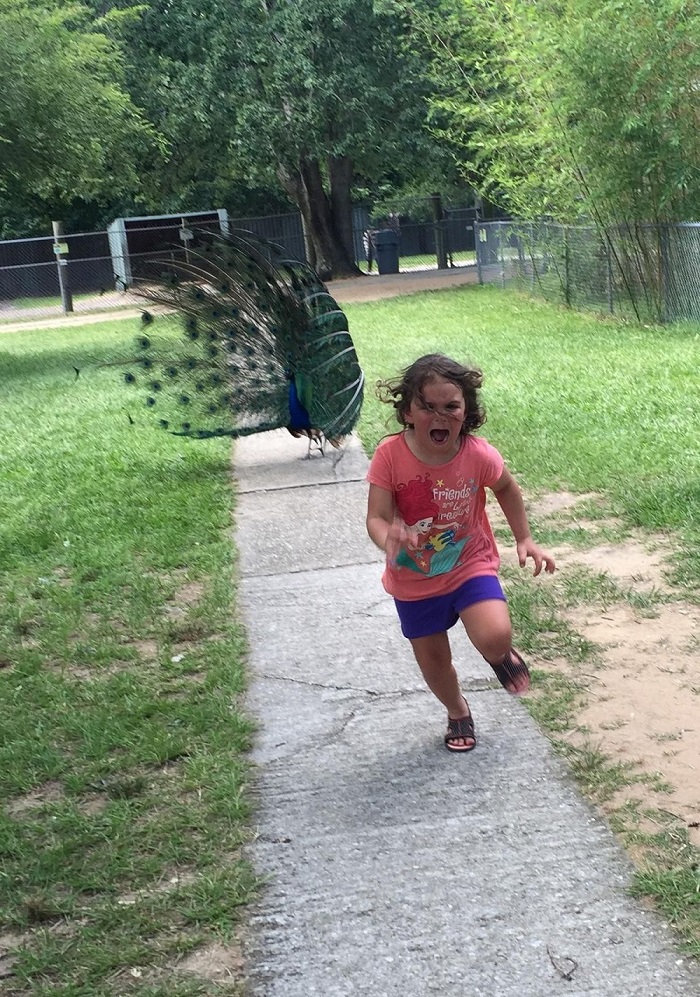 Image Credit: Reddit
