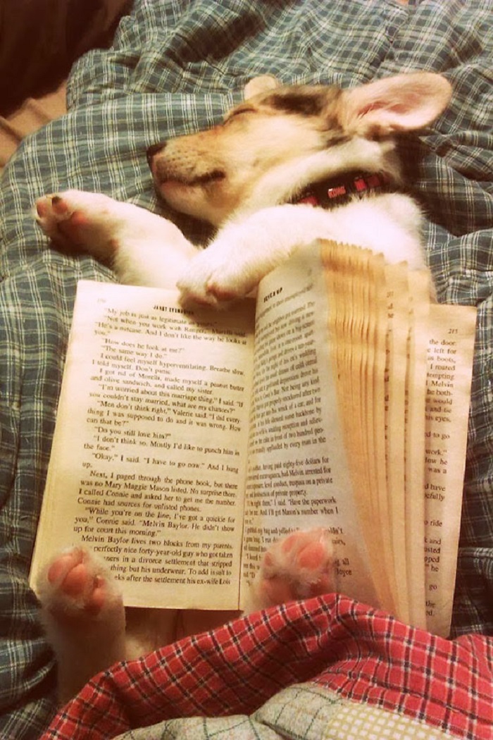 Image Credit: Pinterest
