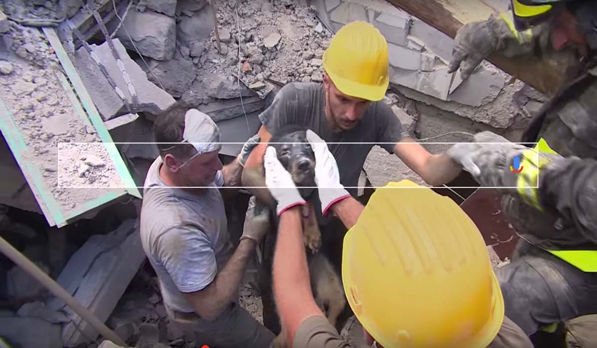 Image Credit: youtube.com