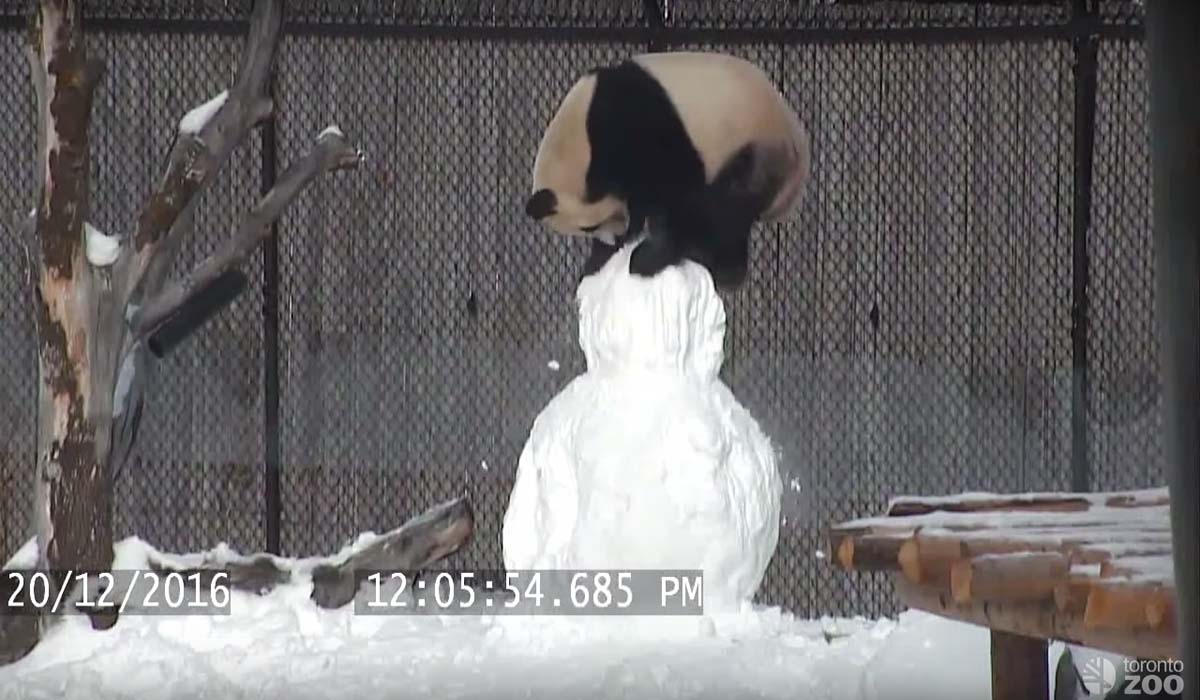 Image Credit: youtube.com