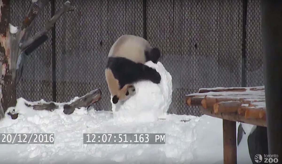 Image Credit: youtube.com
