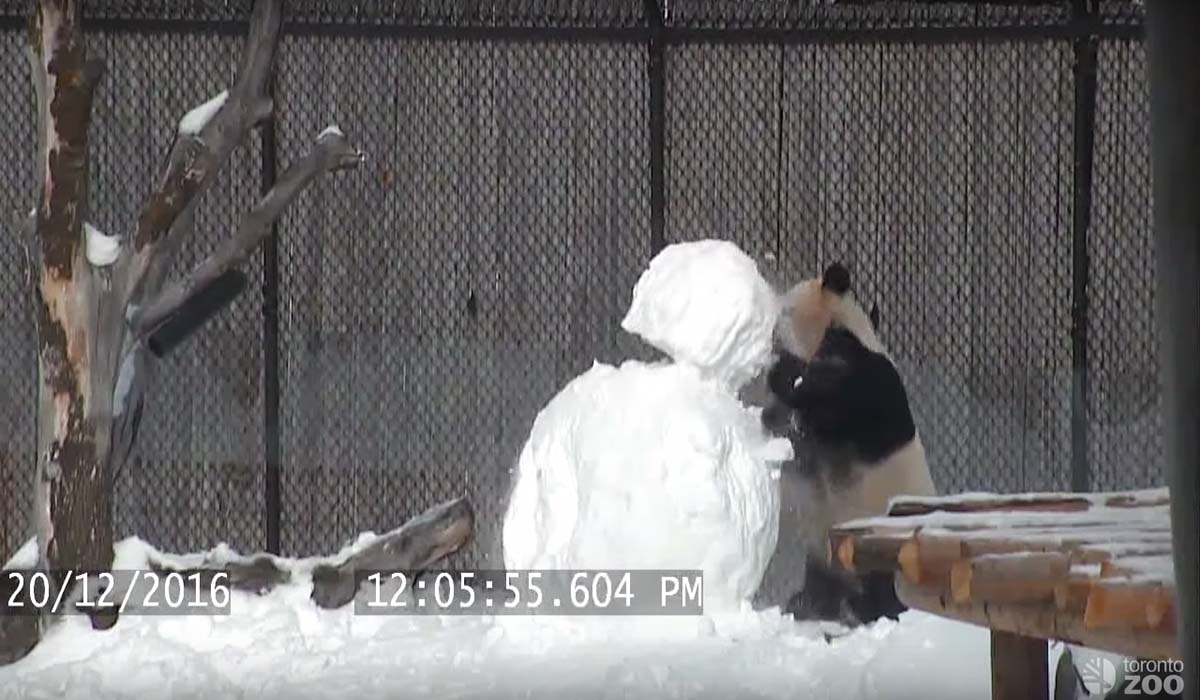 Image Credit: youtube.com