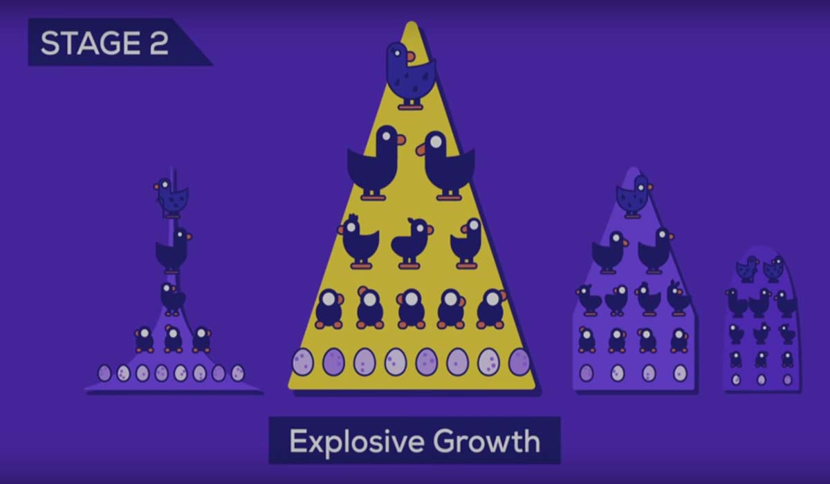 Image Credit: youtube.com