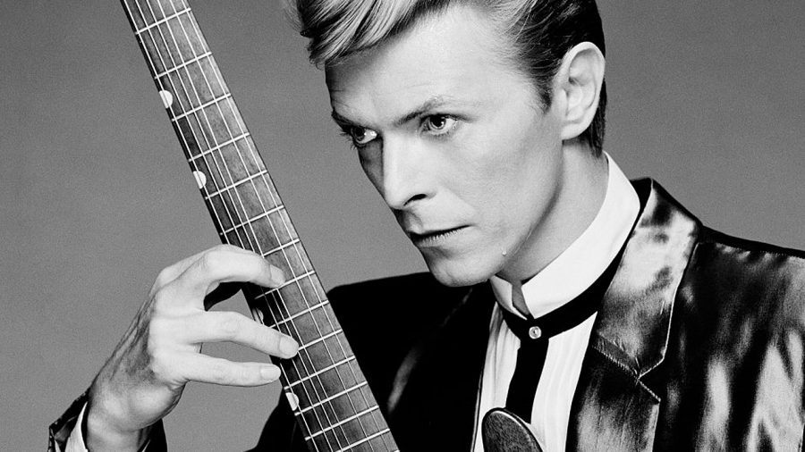 david