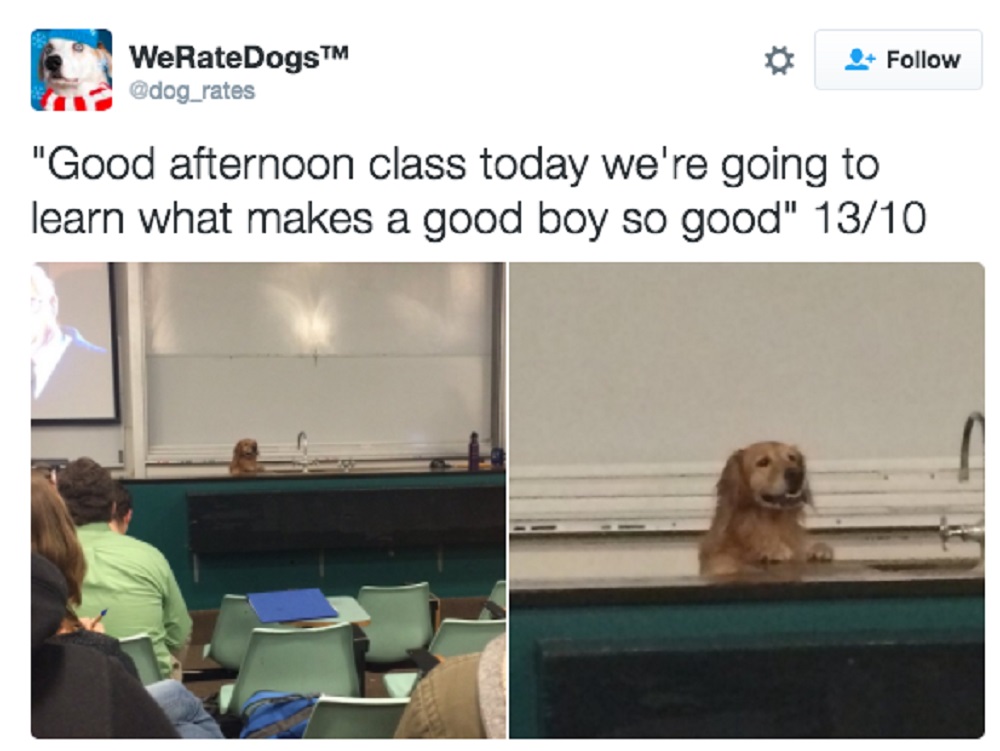 Image Credit: Buzzfeed