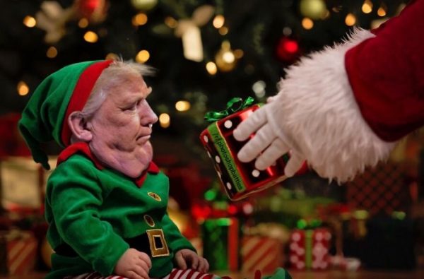 donald