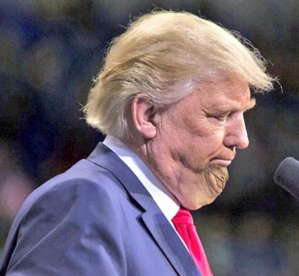 donald