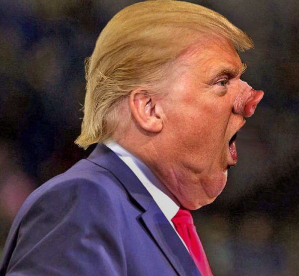 donald