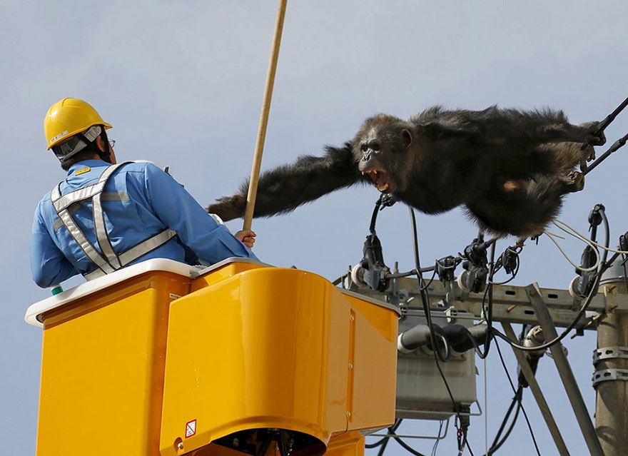 reuters