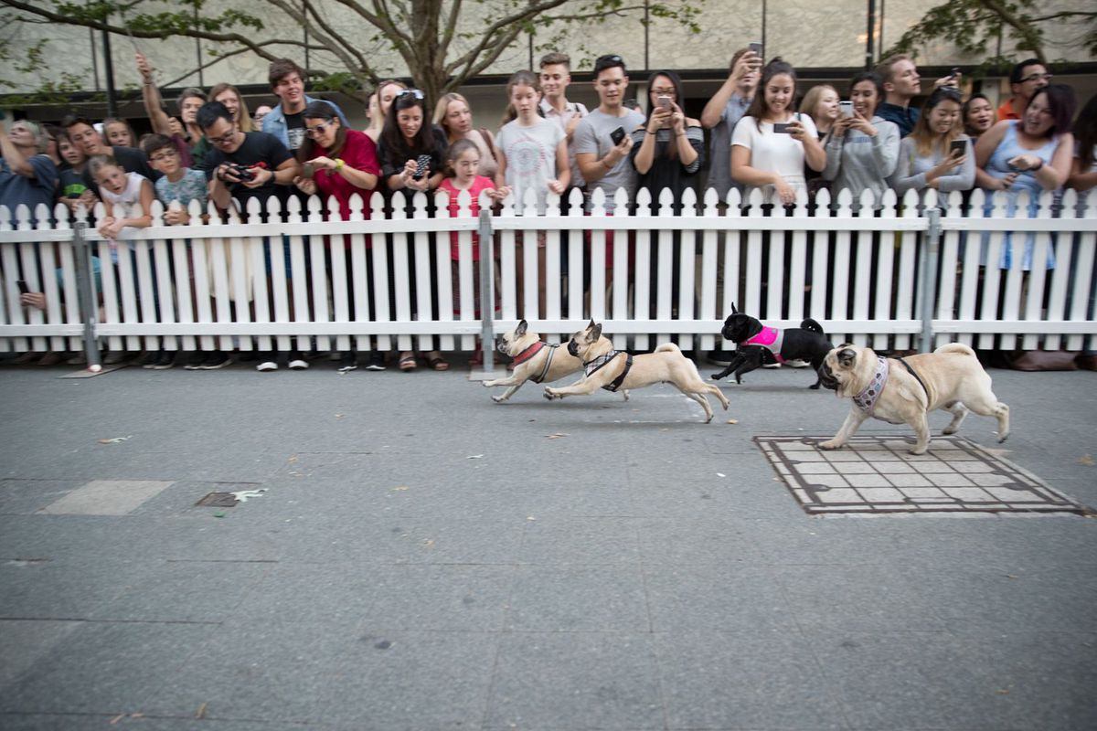 Image Credit: PHOTOX / IN THE CITY CANBERRA