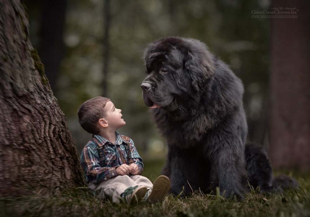 Image Credit: Andy Seliverstoff