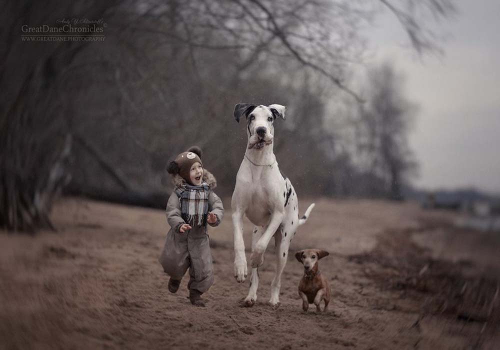 Image Credit: Andy Seliverstoff