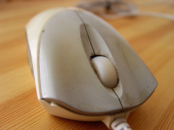 mouse
